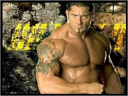 WWE, Dave Batista, Wrestling